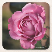 Angel Face Roos Kartonnen Onderzetters (Voorkant)