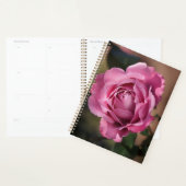 Angel Face Roos Planner (Display)