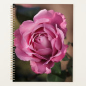 Angel Face Roos Planner (Voorkant)