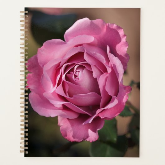 Angel Face Roos Planner (Voorkant)