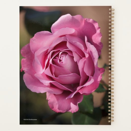 Angel Face Roos Planner (Achterkant)