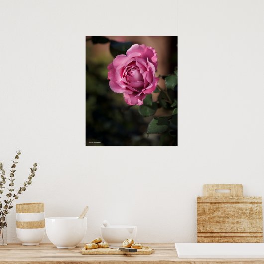 Angel Face Roos Poster (Keuken)