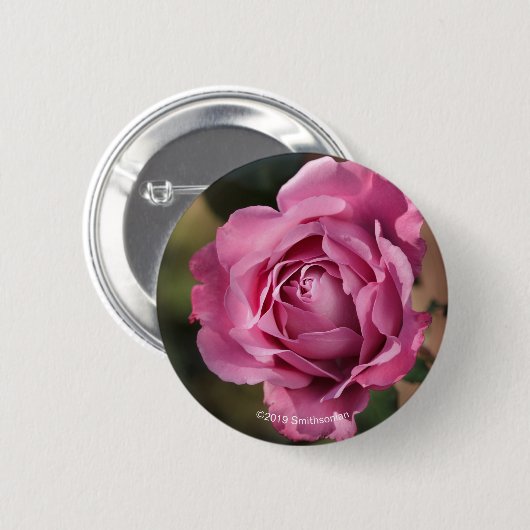 Angel Face Roos Ronde Button 5,7 Cm (Voorkant /achterkant)