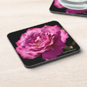 Angel Face Roos Up-Close Bier Onderzetter (Linkerzijde)