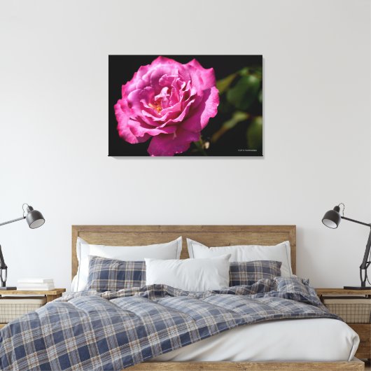 Angel Face Roos Up-Close Canvas Afdruk (Insitu (Slaapkamer))