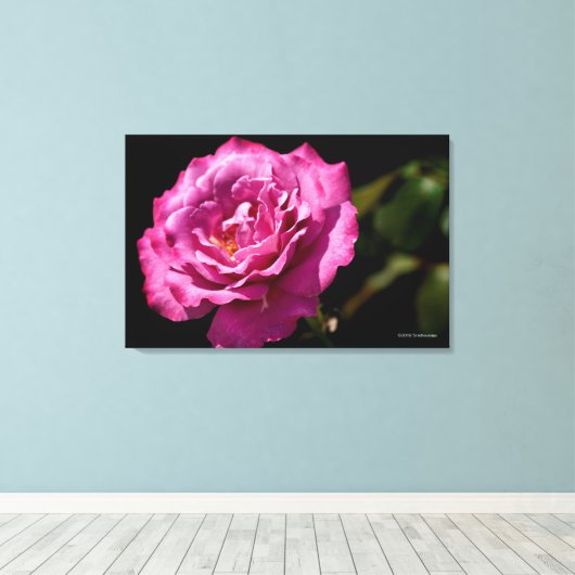 Angel Face Roos Up-Close Canvas Afdruk (Insitu (Houten vloer))