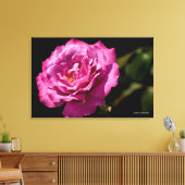 Angel Face Roos Up-Close Canvas Afdruk (Insitu (Woonkamer))