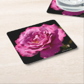 Angel Face Roos Up-Close Kartonnen Onderzetters (Schuin)