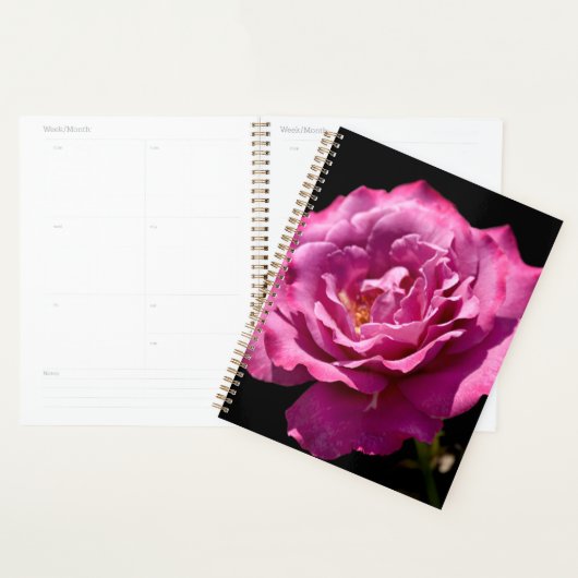 Angel Face Roos Up-Close Planner (Display)