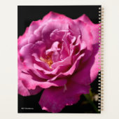 Angel Face Roos Up-Close Planner (Achterkant)