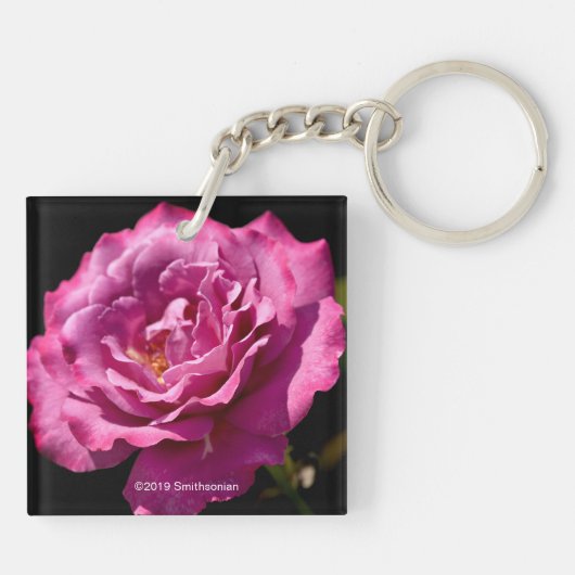 Angel Face Roos Up-Close Sleutelhanger (Achterkant)