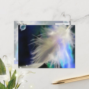 Angel Feather, briefkaart