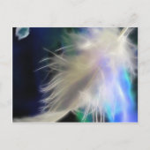 Angel Feather, briefkaart (Voorkant)