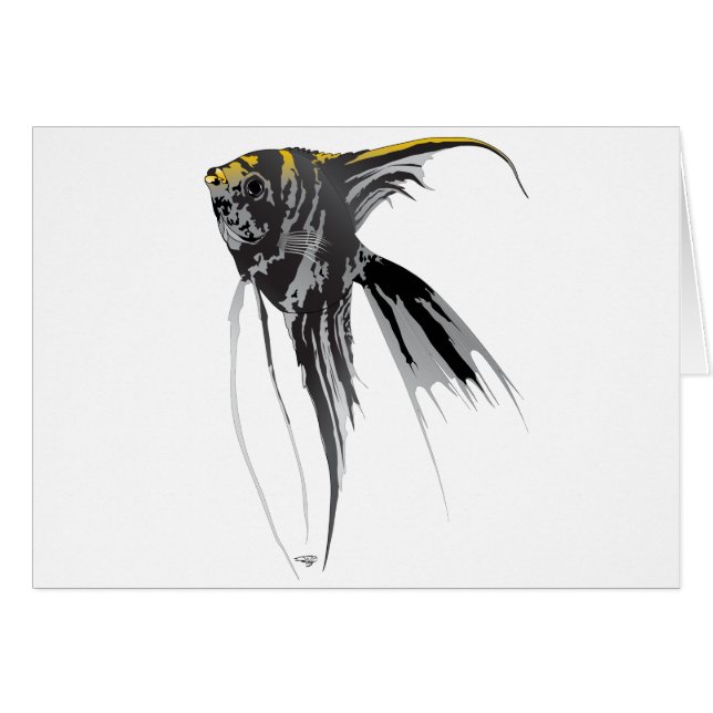Angel Fish (Voorkant Horizontaal)