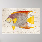  Angel Fish Antiek Hawaiian Print Sjabloon (Voorkant)