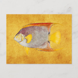  Angel Fish Antiek Hawaiian Print Sjabloon Briefkaart