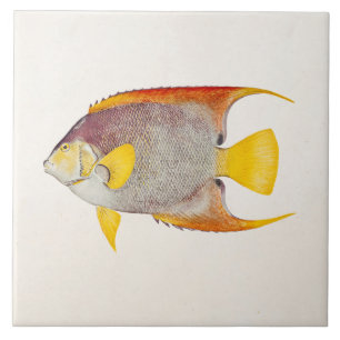 Angel Fish Antiek Hawaiian Print Sjabloon Tegeltje