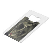 Angel Fish Aquatic Abstract Creditkaart Flessenopener (Achterkant Gekanteld)