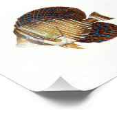 Angel Fish Beach Nautical Ocean Bathroom Foto Afdruk (Hoek)