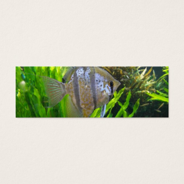 Angel Fish Bladwijzer Mini Visitekaartjes (Voorkant)