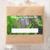 Angel Fish Book Label (Insitu)