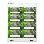 Angel Fish Book Label (Full Sheet)
