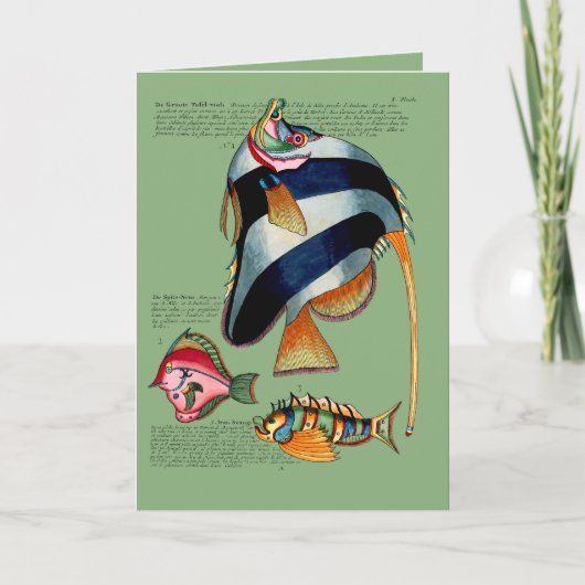 Angel Fish en vrienden Feestdagen Kaart (Voorkant)