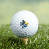 Angel Fish Golfballen (Insitu Shirt)