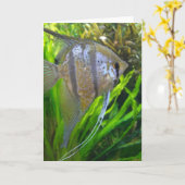 Angel Fish Kaart (Gele Bloem)
