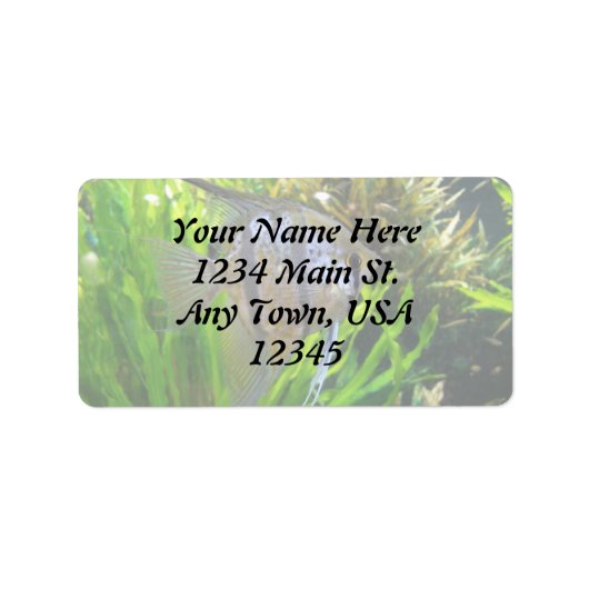 Angel Fish Label (Voorkant)