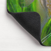 Angel Fish Mousepad Muismat (Hoek)