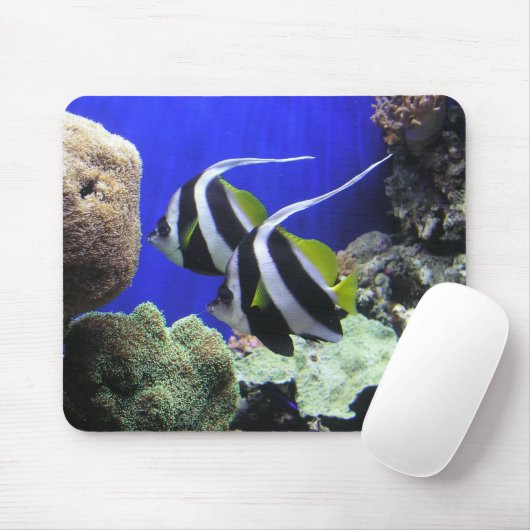 Angel Fish Muismat (Met muis)