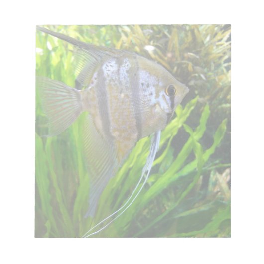 Angel Fish Notitieblok (Voorkant)