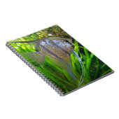 Angel Fish Notitieboek (Rechterzijde)