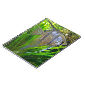 Angel Fish Notitieboek (Linkerzijde)