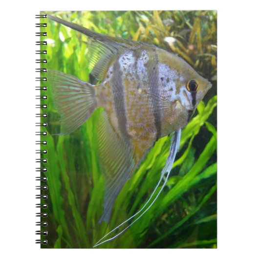 Angel Fish Notitieboek (Voorkant)