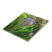 Angel Fish Tegeltje (Zijkant)