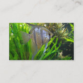 Angel Fish Visitekaartje (Achterkant)