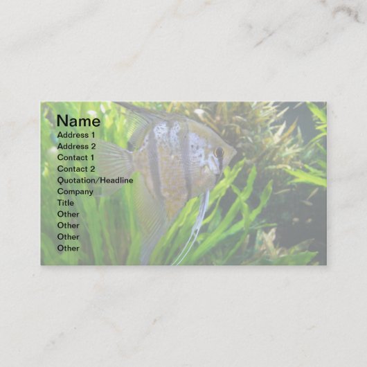 Angel Fish Visitekaartje (Voorkant)