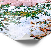 Angel Grace Foto Afdruk (Hoek)