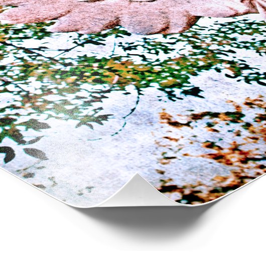 Angel Grace Foto Afdruk (Hoek)