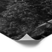 Angel-Herfsten in zwart-wit Poster (Hoek)