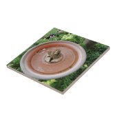 Angel in Bird Bath Tile Tegeltje (Zijkant)