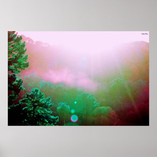 Angel Island Poster - X-Large (38 x 25,4 inch) (Voorkant)