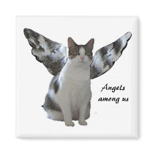 Angel Kat Magnet