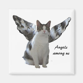 Angel Kat Magnet