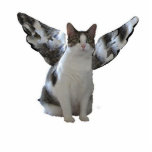 Angel Kat Ornament Fotobeeldje Ornament<br><div class="desc">Dit engel-kat maakt een geweldig siermiddel voor je kerstboom. Het maakt ook een geweldig cadeau voor kattenliefhebbers.  Kan aan uw houden worden aangepast.</div>