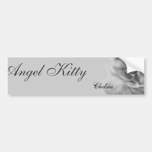 "Angel Kat" Portret Bumpersticker (Voorkant)