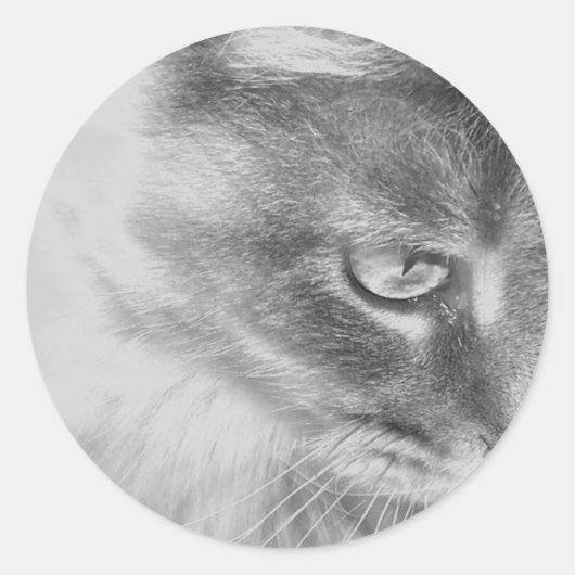 "Angel Kat" Portret Ronde Sticker (Voorkant)