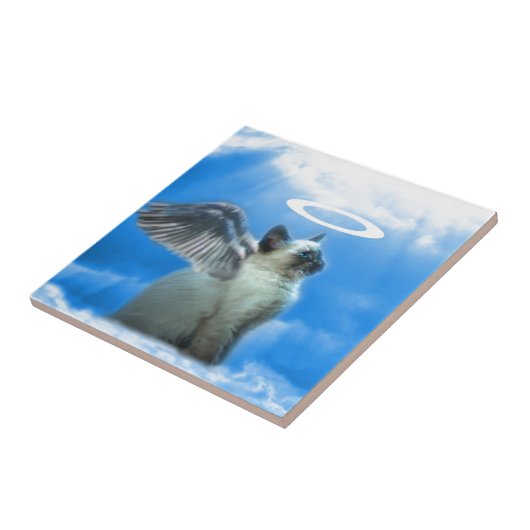 Angel Kitten Cat Tegeltje (Zijkant)